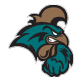 CC